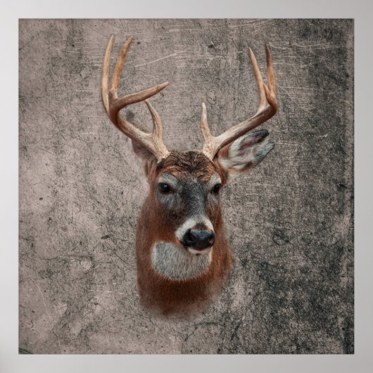 Majestic Deer Against Rustic Background Poster (Voorkant)