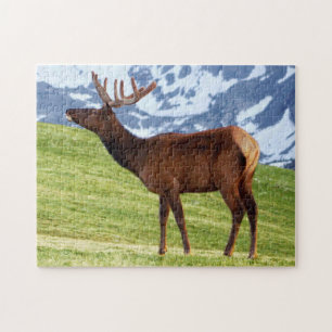 Majestic Deer in de bergen Jigzaag Puzzle Legpuzzel