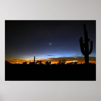 Majestic Desert gaat naar bed Poster