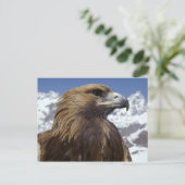 Majestic Eagle Briefkaart (Staand voorkant)