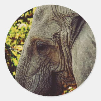 Majestic Elephant Ronde Sticker