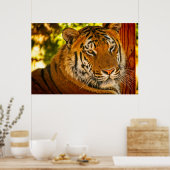 Majestic Face Poster (Keuken)