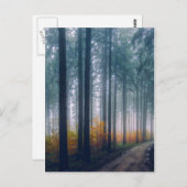 Majestic Forest Path Briefkaart (Voorkant / Achterkant)