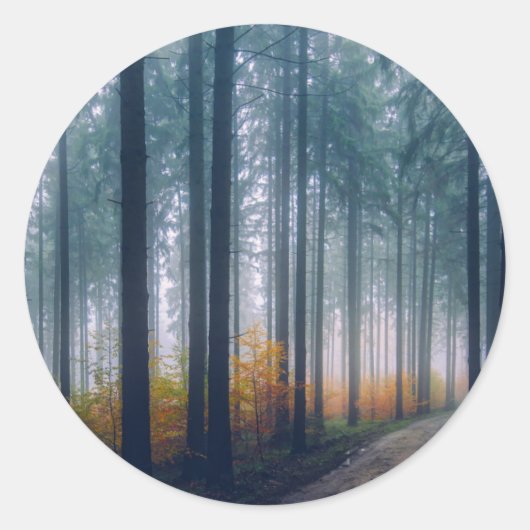 Majestic Forest Path Ronde Sticker (Voorkant)
