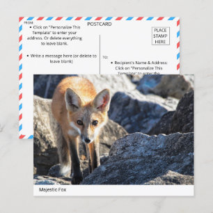 Majestic Fox Briefkaart