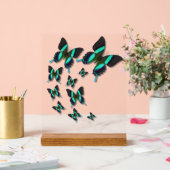 Majestic Green Swallowtail Butterfly (Mariage)