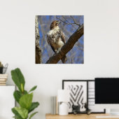 Majestic Hawk Poster (Thuiskantoor)