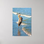 Majestic Heron Bird Ocean Waves Florida Verenigde Canvas Afdruk (Voorkant)