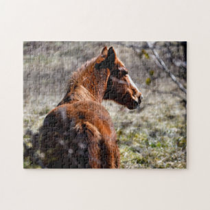 Majestic Horse in boerderij Georgia, Verenigde Sta Legpuzzel