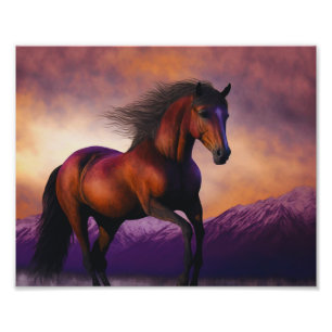 Majestic Horse Stallion Animal Mountain Sunset Foto Afdruk