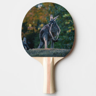 Majestic Kangaroo Tafeltennisbatje