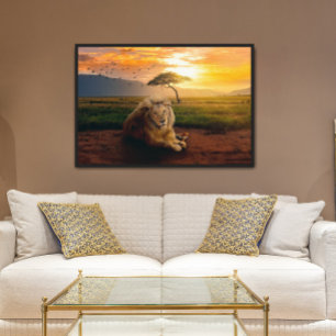 Majestic Lion in Afrika op zonsondergang Poster