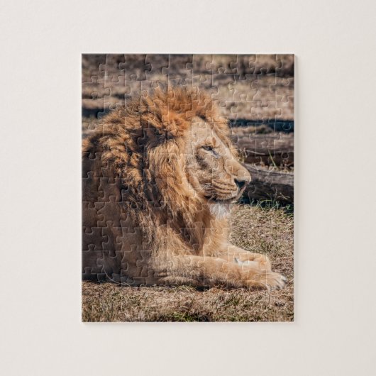Majestic lion legpuzzel (Verticaal)