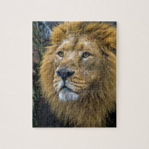 Majestic lion legpuzzel
