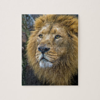 Majestic lion legpuzzel