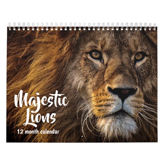 Majestic Lions 2026 Kalender (Hoes)