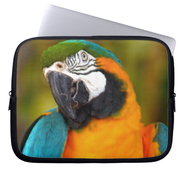 Majestic Macaw Laptop Sleeve (Voorkant)