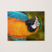 Majestic Macaw Legpuzzel (Horizontaal)