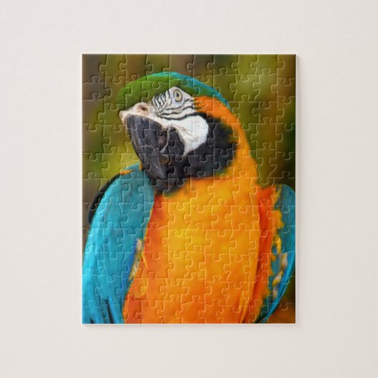 Majestic Macaw Legpuzzel (Verticaal)