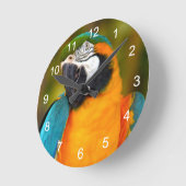 Majestic Macaw Ronde Klok (Hoek)