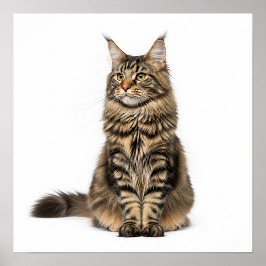 Majestic Maine Coon Art Poster (Voorkant)