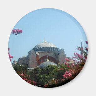 Majestic Mosque Magnet Magneet