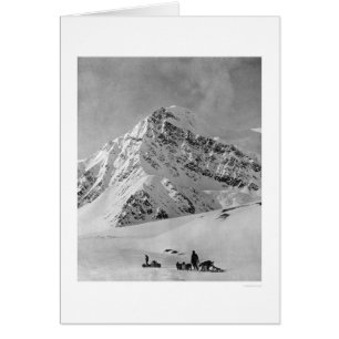 Majestic Mt. McKinley 1908