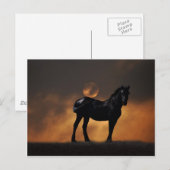 Majestic paard briefkaart (Voorkant / Achterkant)