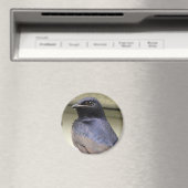 Majestic Paars Martin Magneet (Insitu (Vaatwasser))