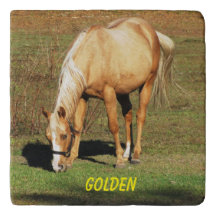 Majestic Palomino Horse - Fine Art Fotografie