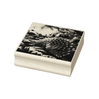 Majestic Peacock Wood Art Stamp Rubberstempel