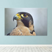 Majestic Peregrine falcon Canvas Afdruk (Insitu (Houten vloer))