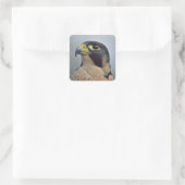 Majestic Peregrine falcon Vierkante Sticker (Tas)