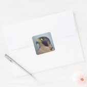 Majestic Peregrine falcon Vierkante Sticker (Envelop)