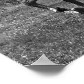 Majestic Poster (Hoek)