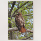 Majestic Red Tailed Hawk Legpuzzel (Verticaal)