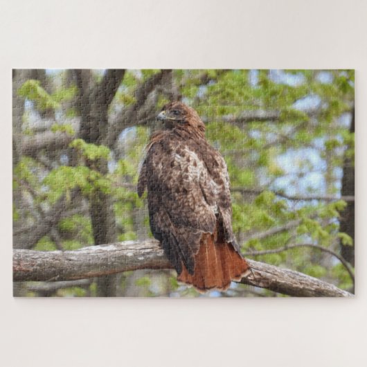 Majestic Red Tailed Hawk Perched Legpuzzel (Horizontaal)