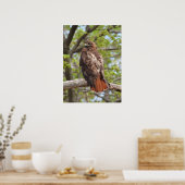 Majestic Red Tailed Hawk Poster (Keuken)