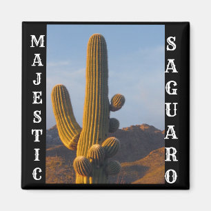 Majestic Saguaro Square Magnet Magneet