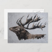 Majestic - stag briefkaart (Voorkant / Achterkant)