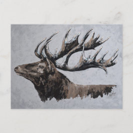Majestic - stag briefkaart