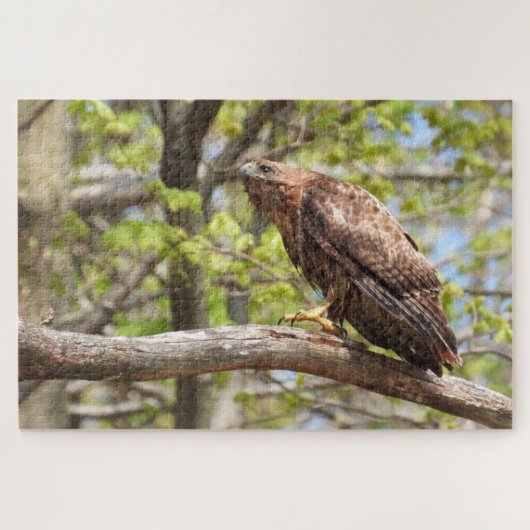 Majestic Stalking Red Tailed Hawk Legpuzzel (Horizontaal)