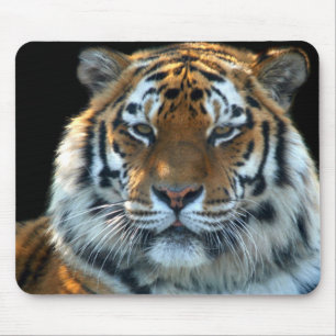 Majestic Sumatran Tiger Muismat