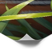 Majestic Tijger met Vlinders in Oerwoud Poster (Hoek)