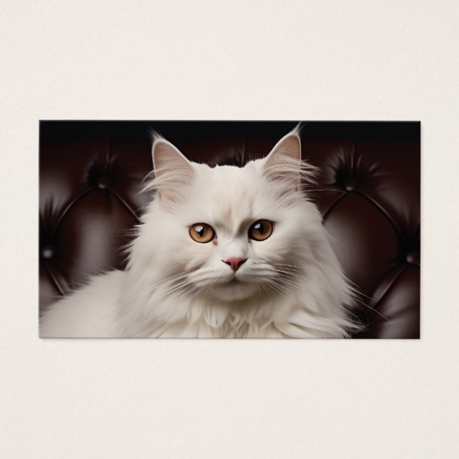 Majestic white cat (Devant)