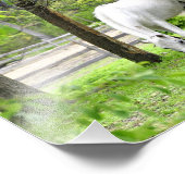 Majestic White Horse Foto Afdruk (Hoek)