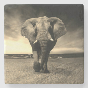 Majestic Wild Bull Elephant in Sepia Stenen Onderzetter