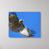 Majestic Wings Canvas Afdruk (Voorkant)