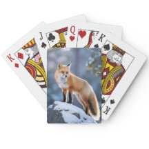 Majestic Winter Fox Fotografie