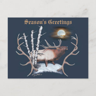 Majestieke mannetjeseland briefkaart